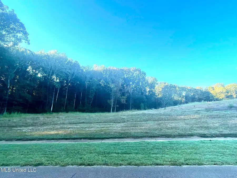 36 Cyrene Drive, Hernando, MS 38632 - #2