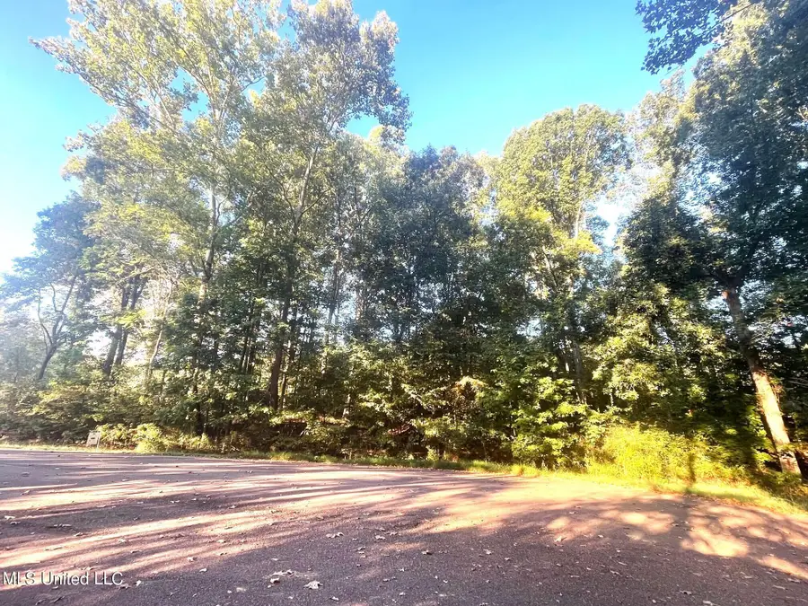 10 Plank Road, Hernando, MS 38632 - #2