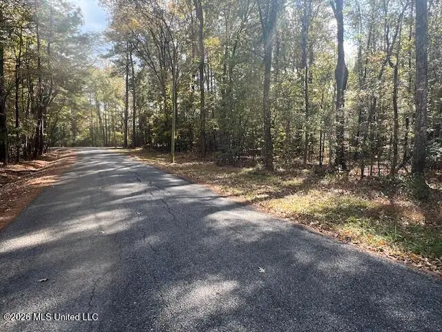 0 Pelahatchie Road, Pelahatchie, MS 39145 - #3