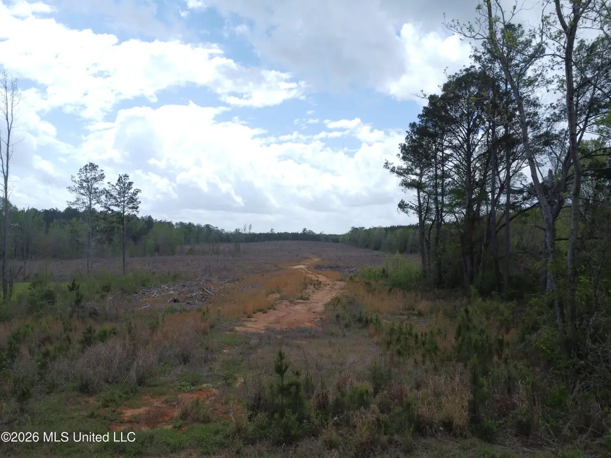 5244 Mississippi 496, Toomsuba, MS 39364 - #1