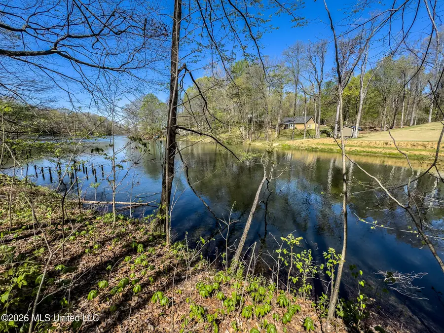 11072 Horseshoe Bend, Hernando, MS 38632 - #2