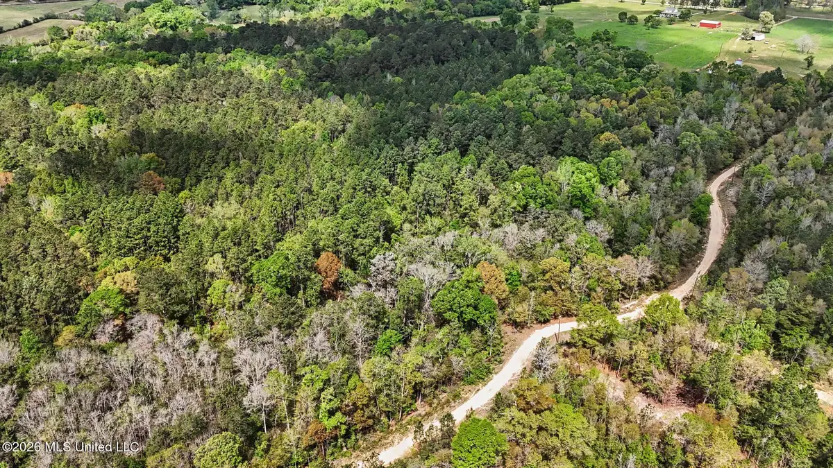 0 Pete Dixon Road, Lucedale, MS 39452 - #1