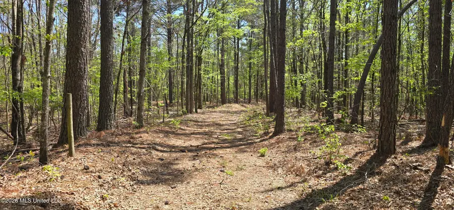 Ms-17, Coila, MS 38923 - #3