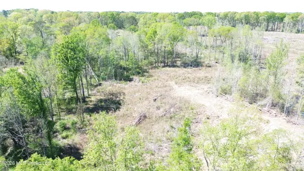 Pettey Road, Forest, MS 39074