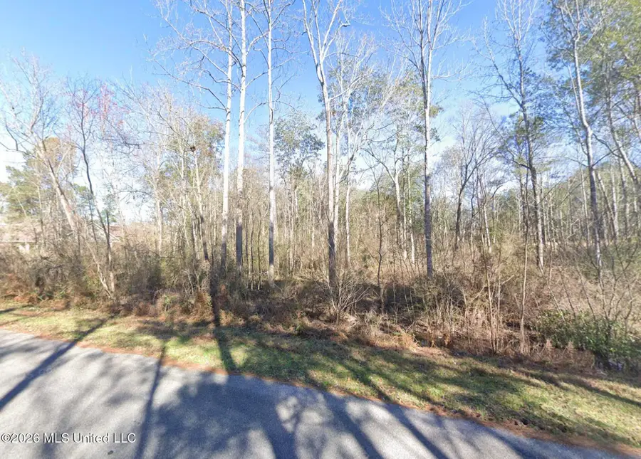 208 Daisey Avenue, Hattiesburg, MS 39402 - #2