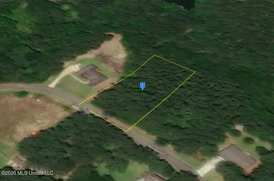 101 Bellepointe Circle, Purvis, MS 39475 - #3