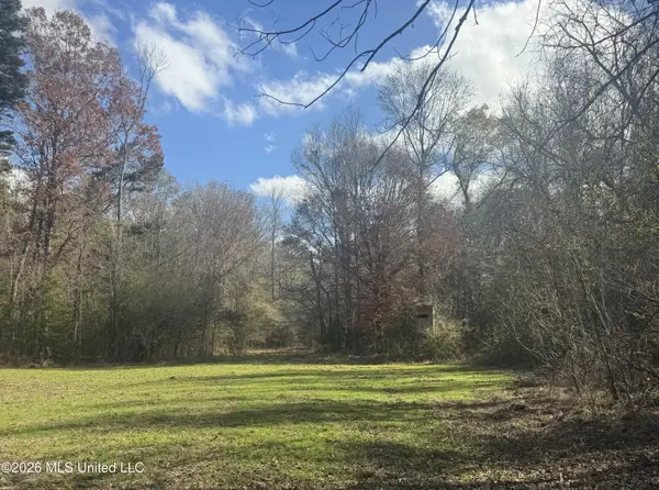 Mckenzie Road, Tylertown, MS 39667