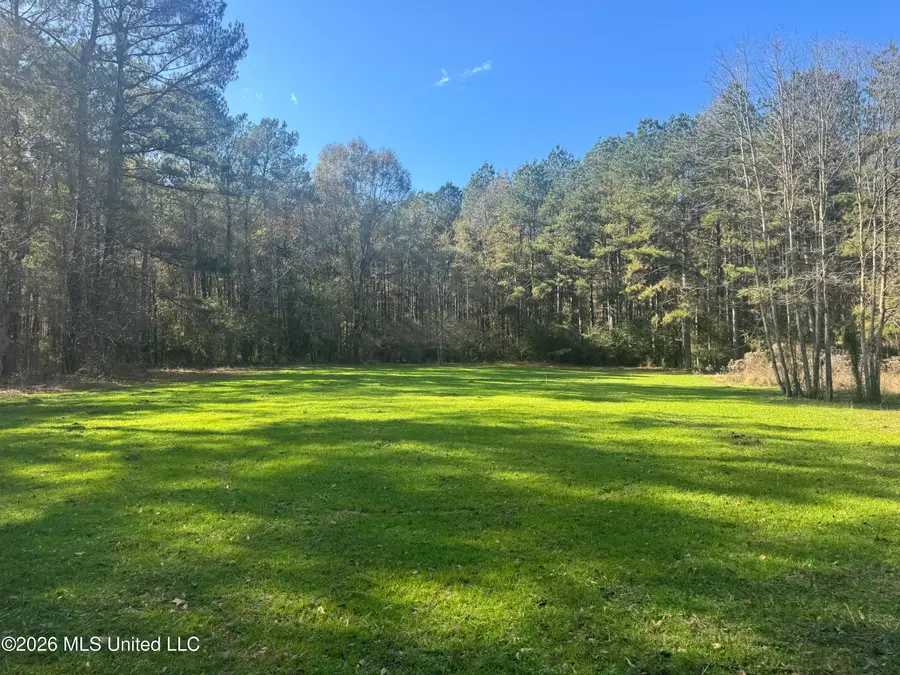 Mckenzie Road, Tylertown, MS 39667 - #3