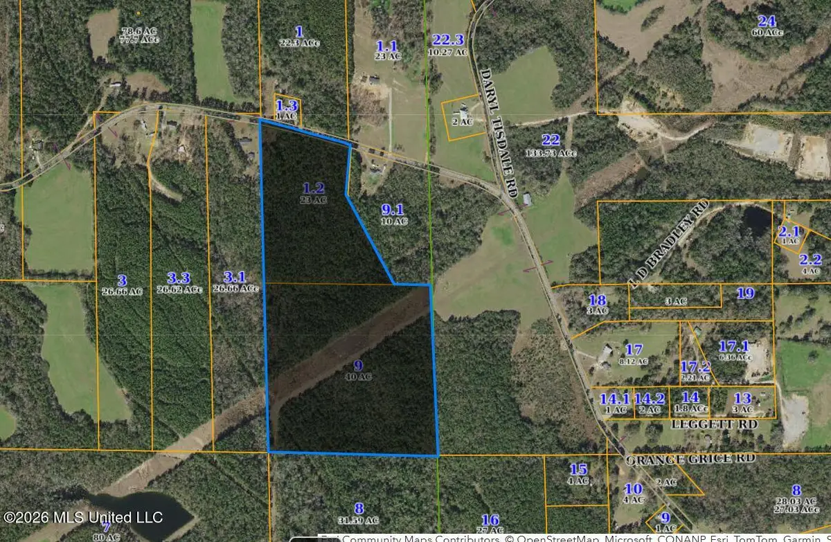 00 Rainey Road, Moselle, MS 39459 - #1