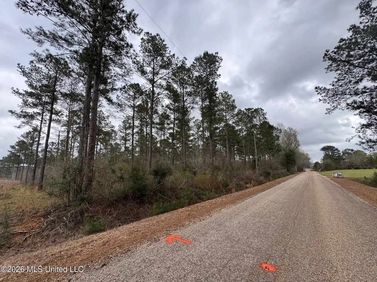 Lot 5 Dinan Salem Road, Tylertown, MS 39667 - #1