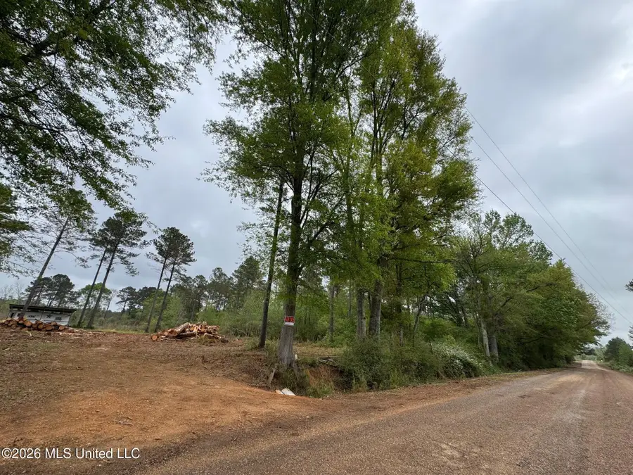 Lot 6 Dinan Salem Road, Tylertown, MS 39667 - #2