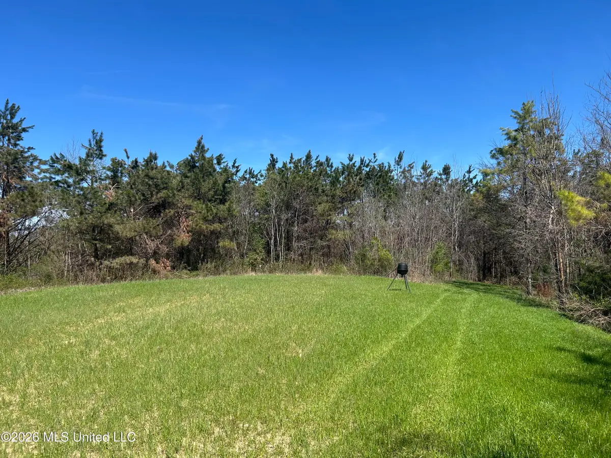 Mississippi 9, Blue Springs, MS 38828 - #1