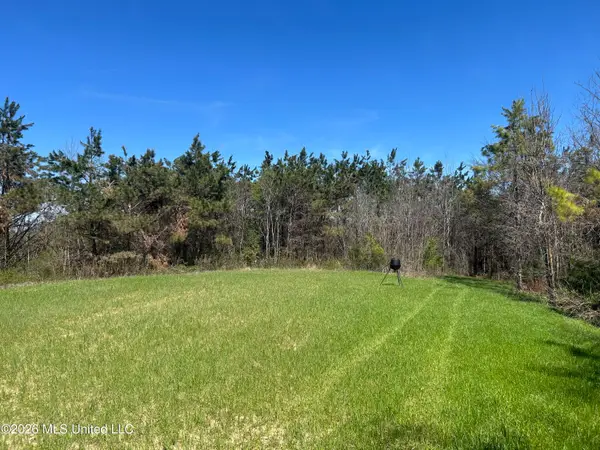 Mississippi 9, Blue Springs, MS 38828