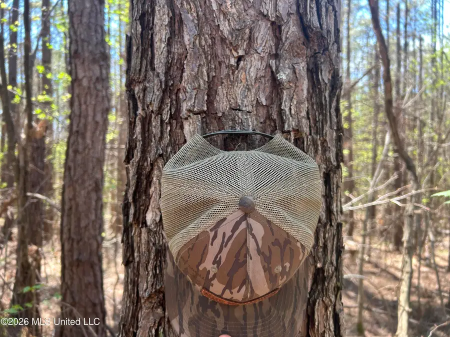 Mississippi 9, Blue Springs, MS 38828 - #3