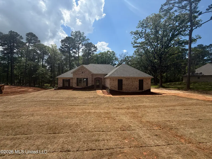 219 Walter Jones Road, Mendenhall, MS 39114 - #2