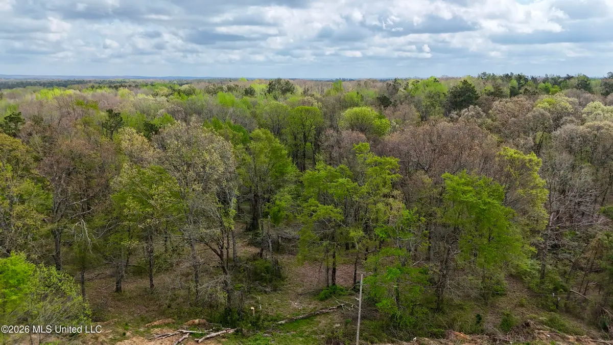 Mississippi 7, Holly Springs, MS 38635 - #1