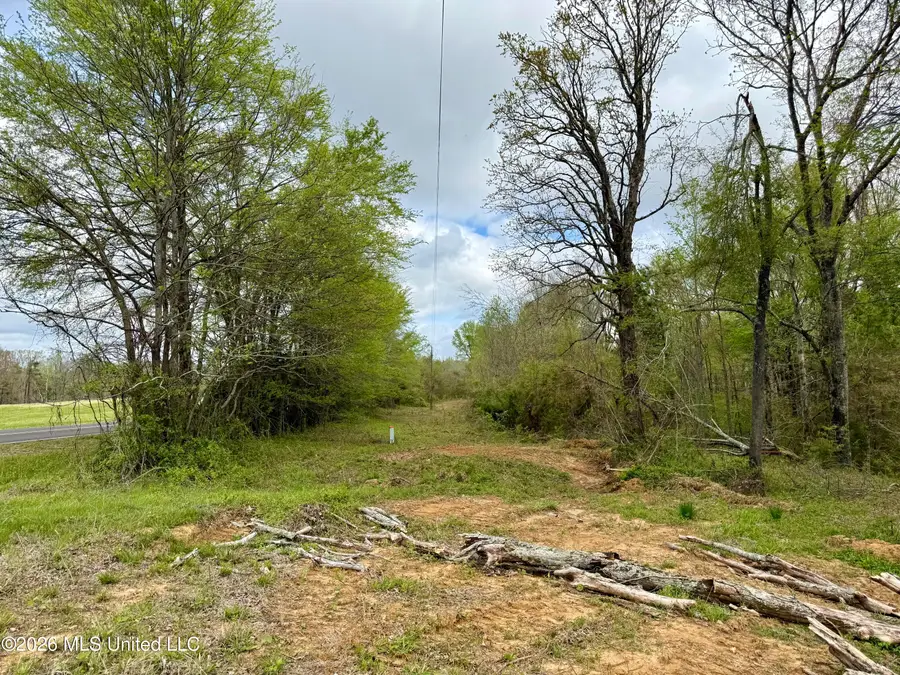 Mississippi 7, Holly Springs, MS 38635 - #3