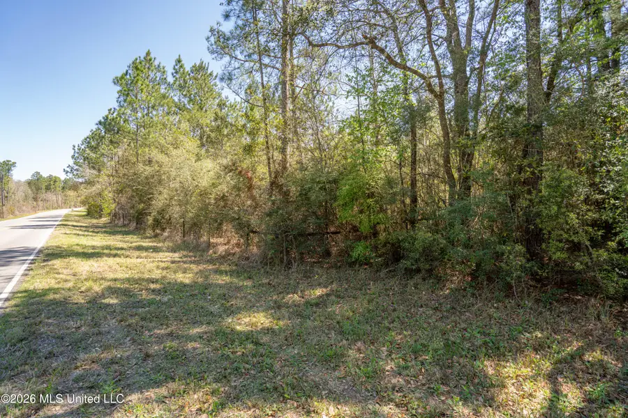 00 Seaman Road, Vancleave, MS 39565 - #3