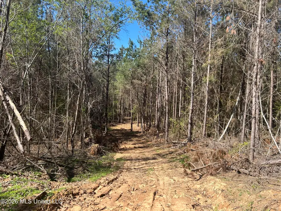 Mississippi 41, Pontotoc, MS 38863 - #3