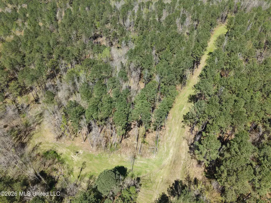 Oldenburg Road, Meadville, MS 39653 - #2