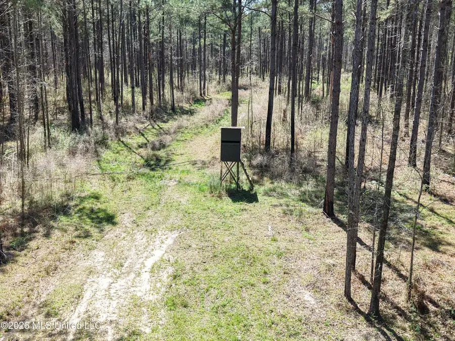 Oldenburg Road, Meadville, MS 39653 - #3