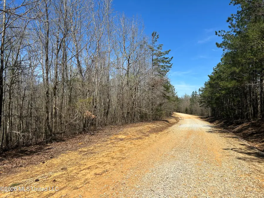 County Road 180, New Albany, MS 38652 - #3