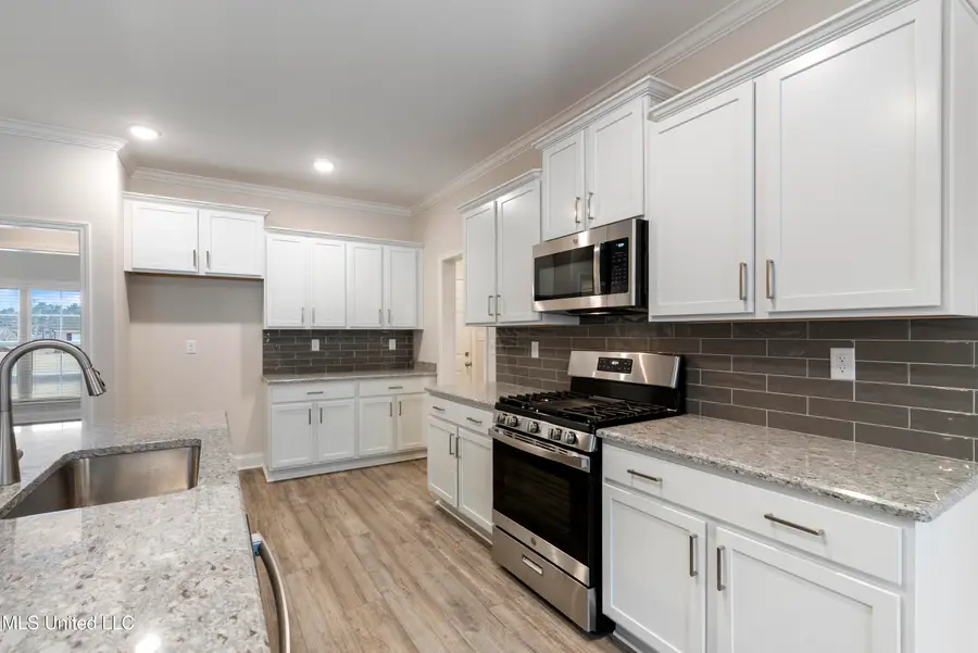 777 Hazelwood Drive, Lake Cormorant, MS 38641 - #3