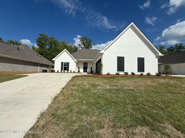350 Oakville Circle, Brandon, MS 39047