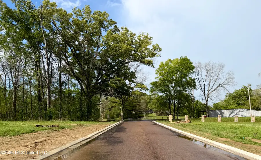 00 Plainview Dr Lot 1, Vicksburg, MS 39180 - #3