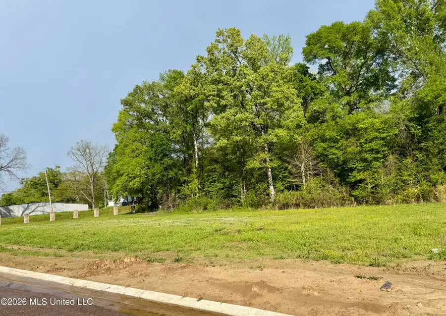 00 Plainview Dr Lot 2, Vicksburg, MS 39180 - #2