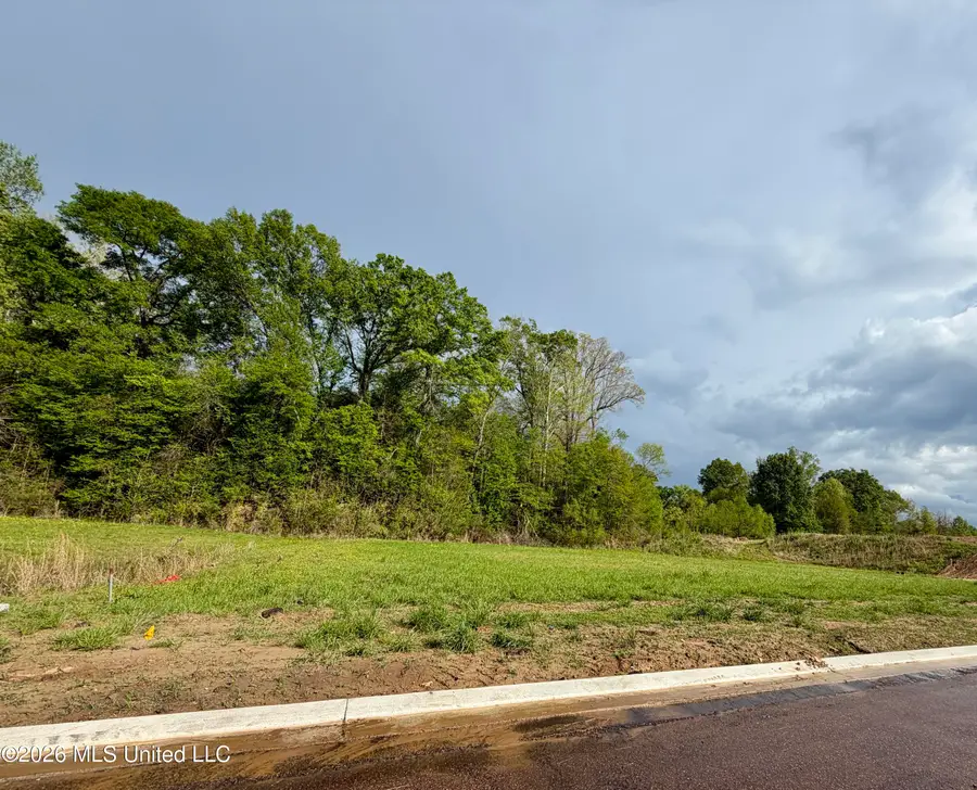 00 Plainview Dr Lot 4, Vicksburg, MS 39180 - #2