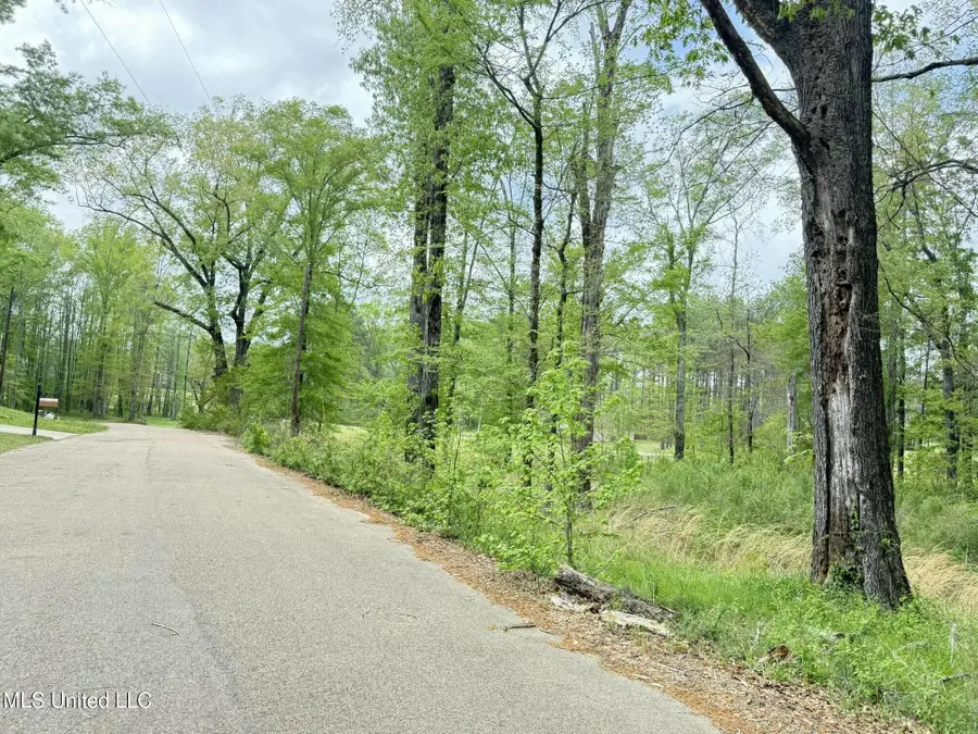 342 Bellechase Drive, Clinton, MS 39056 - #3