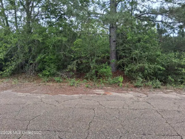 0 Ab Ladner Drive, Lumberton, MS 39455