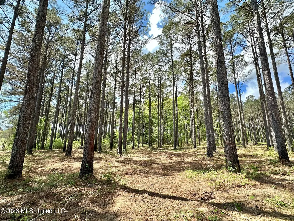 2 Morgan Road, Canton, MS 39046 - #1