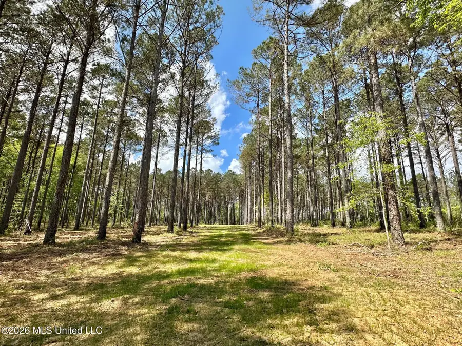 2 Morgan Road, Canton, MS 39046 - #3