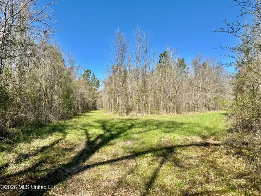 0 Swamp Road, Carthage, MS 39051 - #3