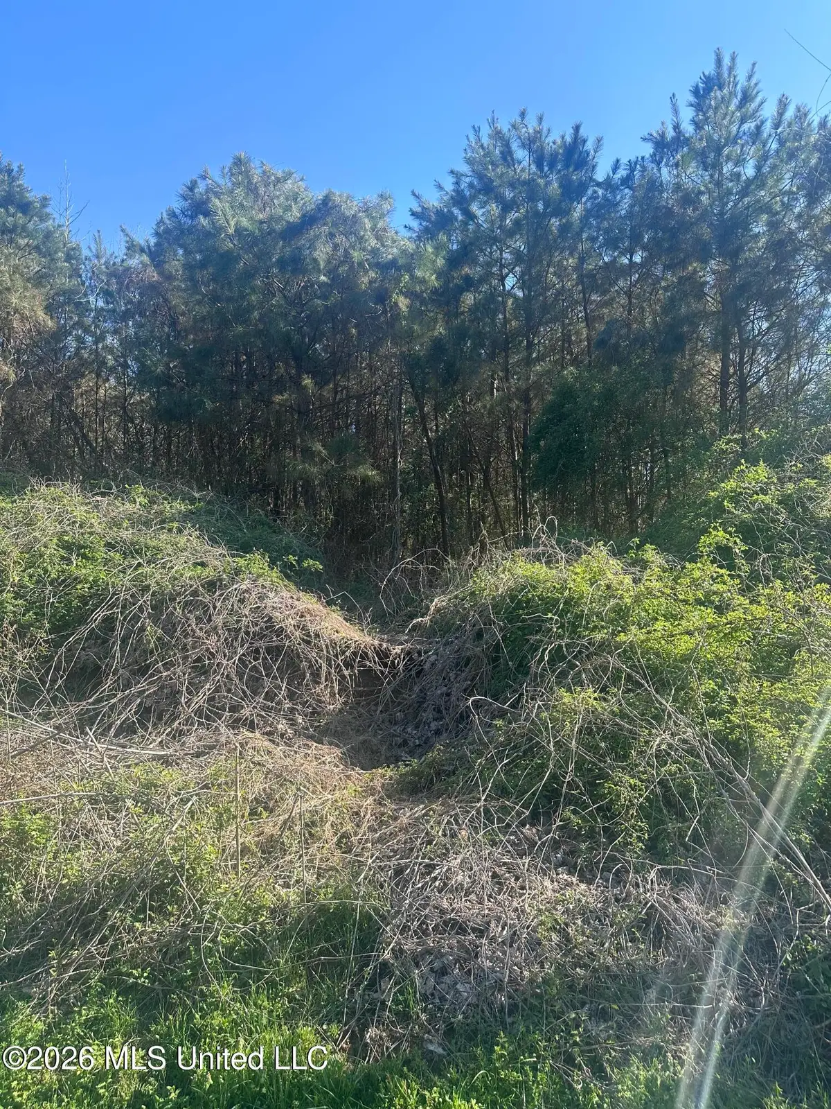 263 Humphrey Road, Holly Springs, MS 38635 - #1