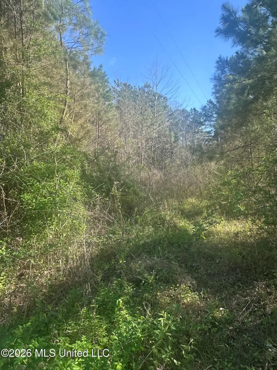 263 Humphrey Road, Holly Springs, MS 38635 - #2