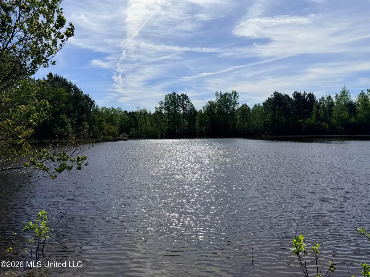 Chathaw Path, Smithdale, MS 39664 - #1