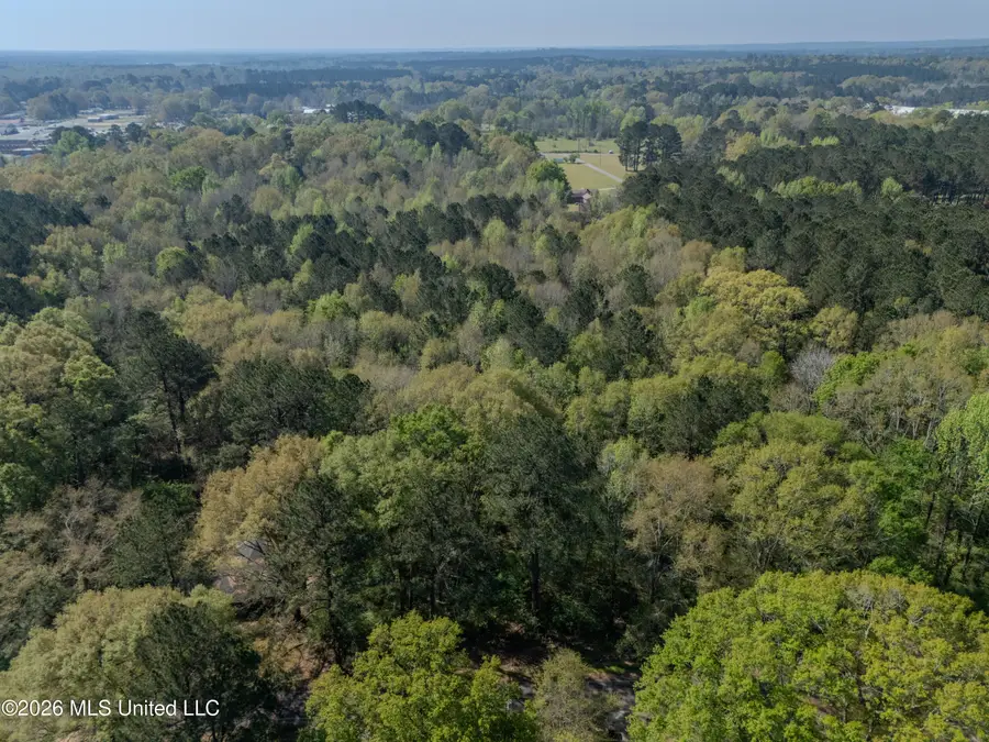 0000 High Street, Taylorsville, MS 39168 - #2