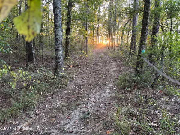 001 Simpson Road, Pickens, MS 39146