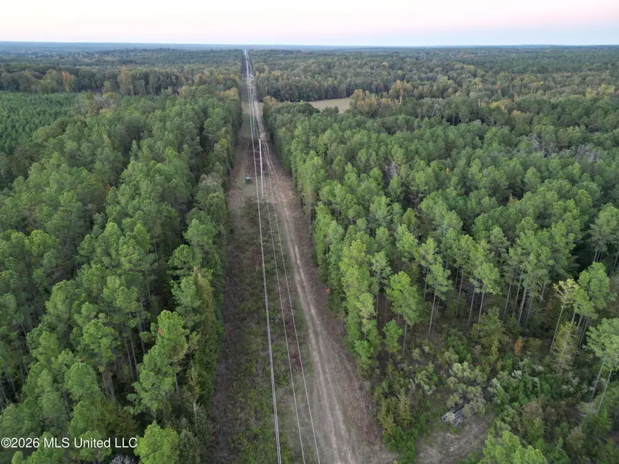 001 Simpson Road, Pickens, MS 39146 - #2