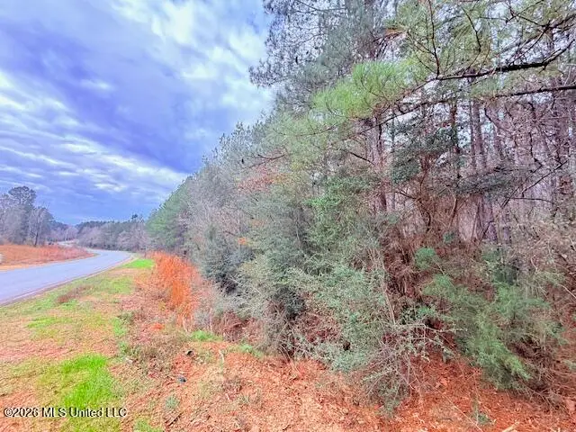 Busy Corner Road, Gloster, MS 39638 - #3