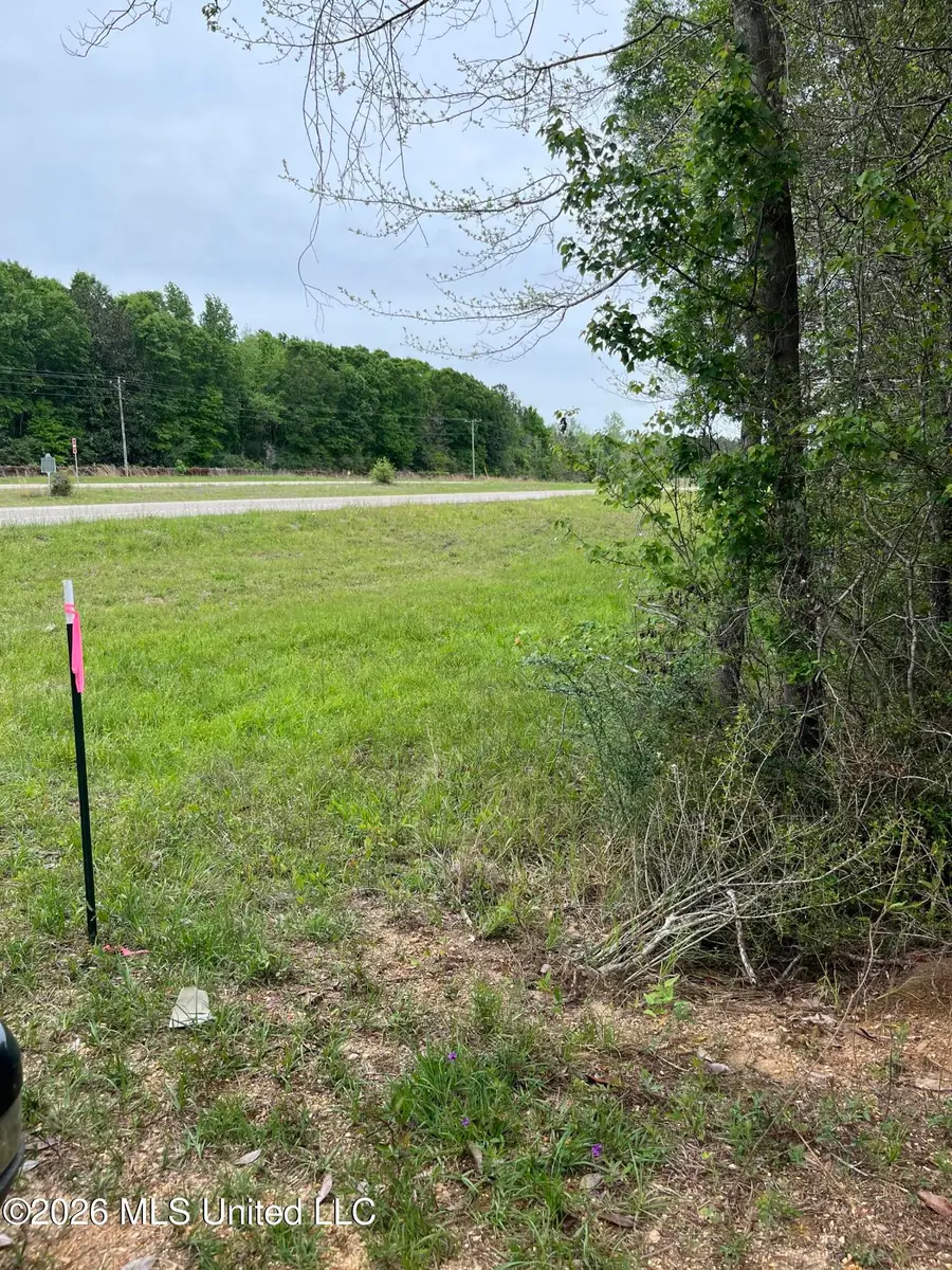 Hwy 49 Highway, Brooklyn, MS 39425 - #2