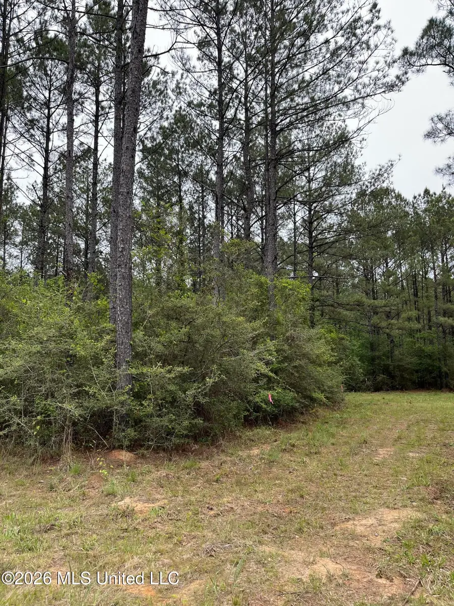 Hwy 49 Highway, Brooklyn, MS 39425 - #3