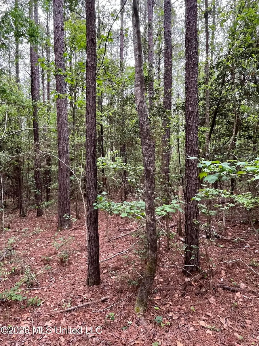 Hwy 49, Brooklyn, MS 39425 - #2