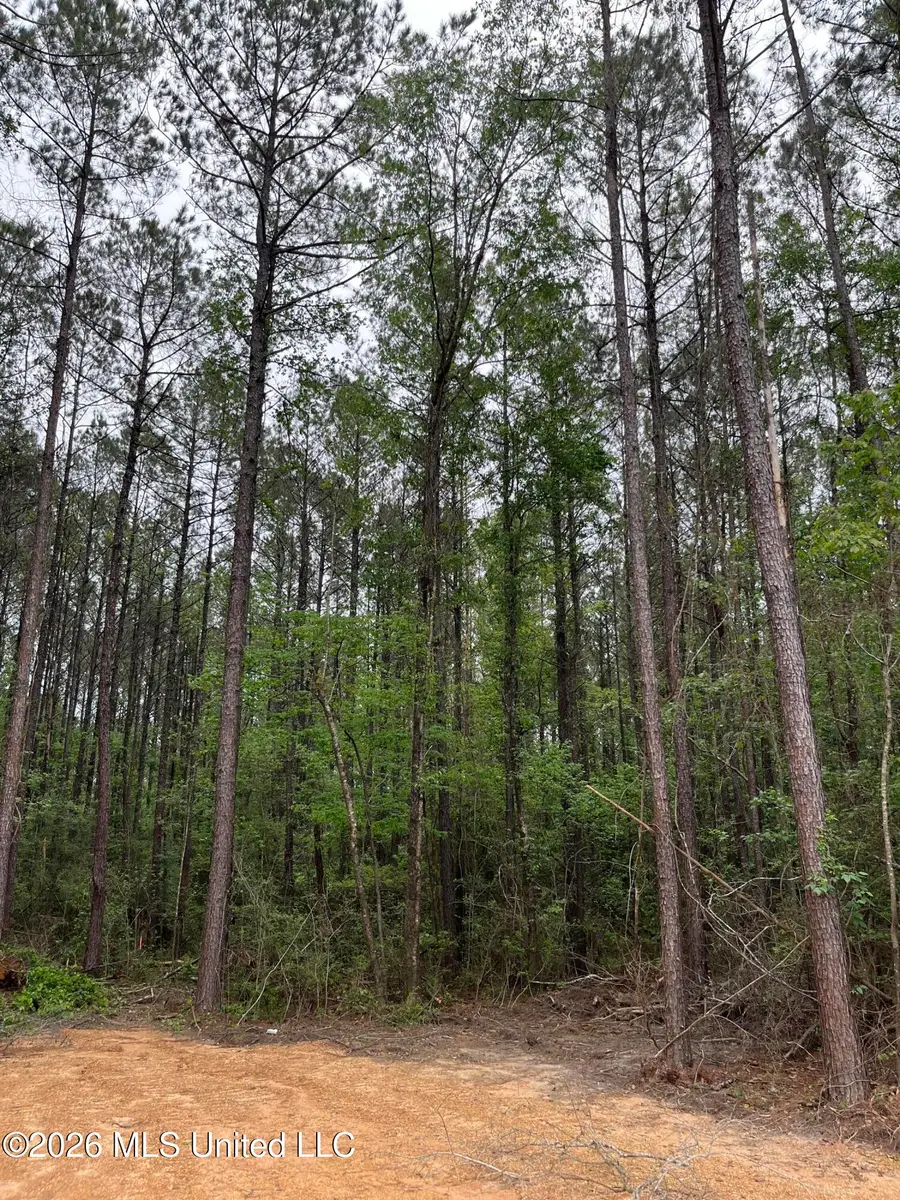 Hwy 49, Brooklyn, MS 39425 - #3