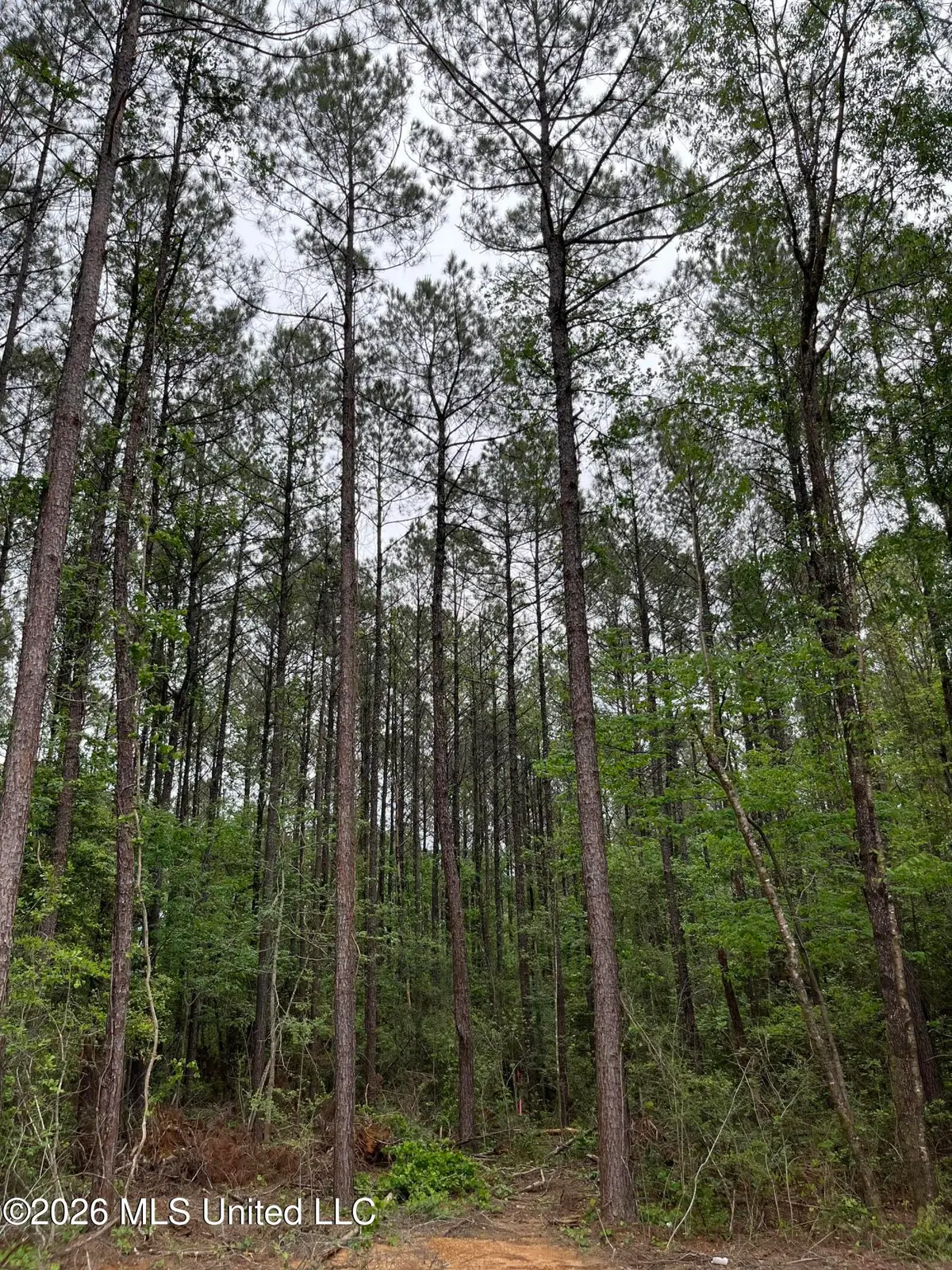 U.s. 49, Brooklyn, MS 39425 - #1