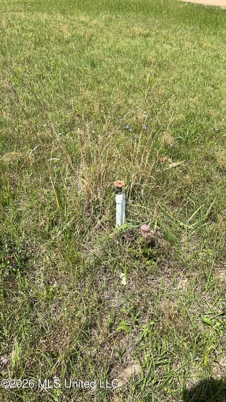 0000000000 Paul Truitt Lane, Pearl, MS 39208 - #3