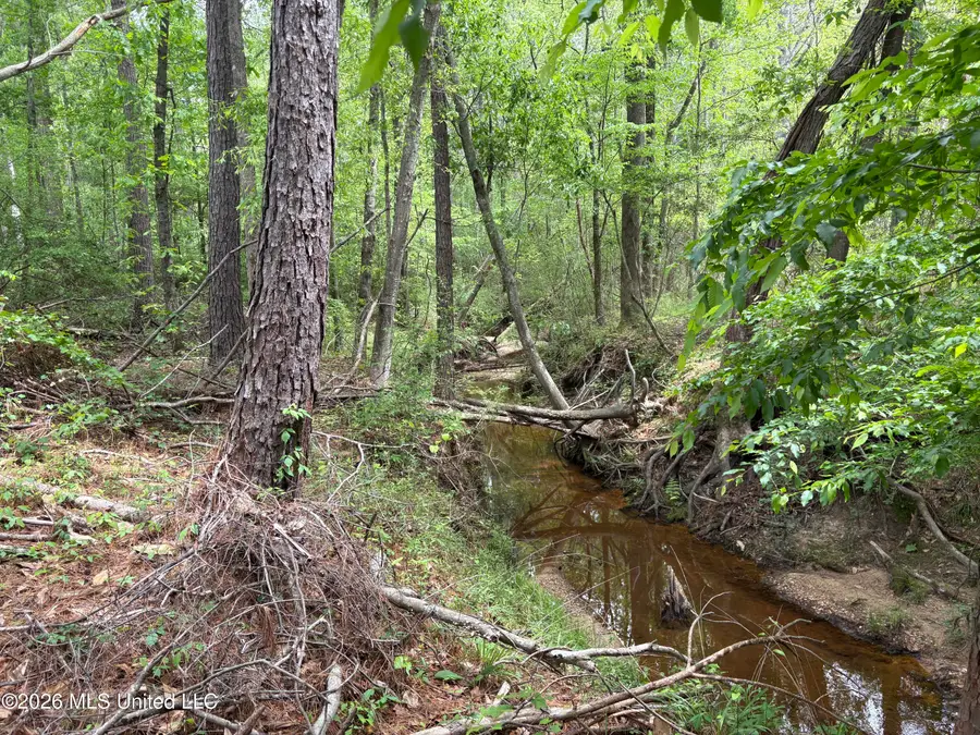 NE Forest Trail, Brookhaven, MS 39601 - #2